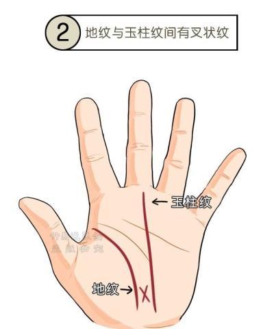 3,手上的明堂部位出现形状端正的三角纹的人,一般有不错的领导能力和