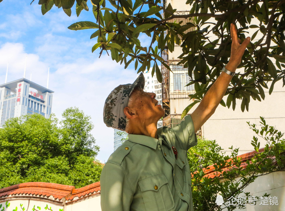 79岁爷爷跟孩子敬礼18年 每日摆手2000余次