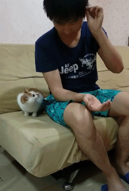 精彩文章 搞笑gif:你大爷永远是你大爷,表白的时候是多么自信 搞笑gif