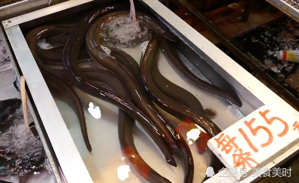 都说香港物价高,带你瞧瞧香港的海鲜市场,看了