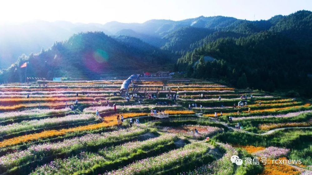 郴州旅游网红来了湘南最大高山梯田花海开园