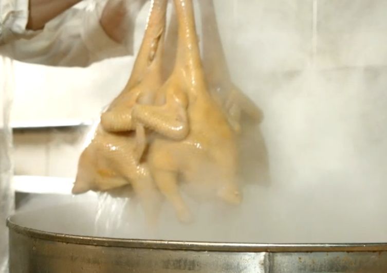 为啥北方同学爱欧美大洋鸡, 而南方人不喜欢. 原因在这!
