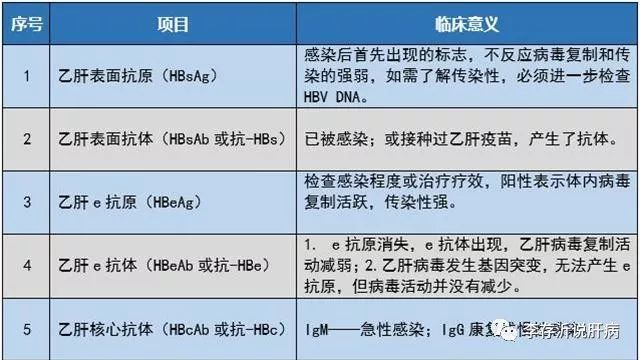 乙肝二对半化验单