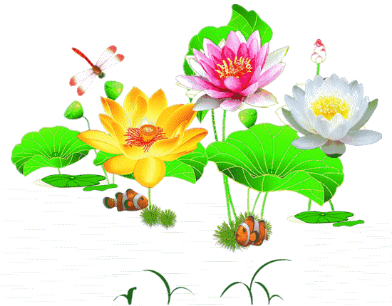 dj舞曲《回心转意》