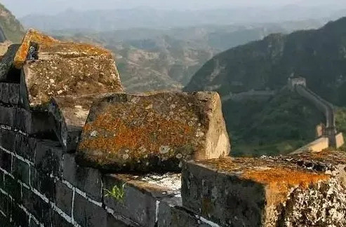 小学教材里的中国式虚假故事:华盛顿砍树,牛顿