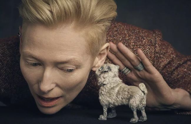 尼古拉斯凯奇+布鲁斯威利斯,动作片老大爷携手