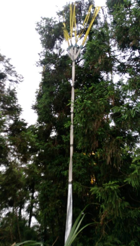 台湾的F16为何事故频发?原来美国给少了一件