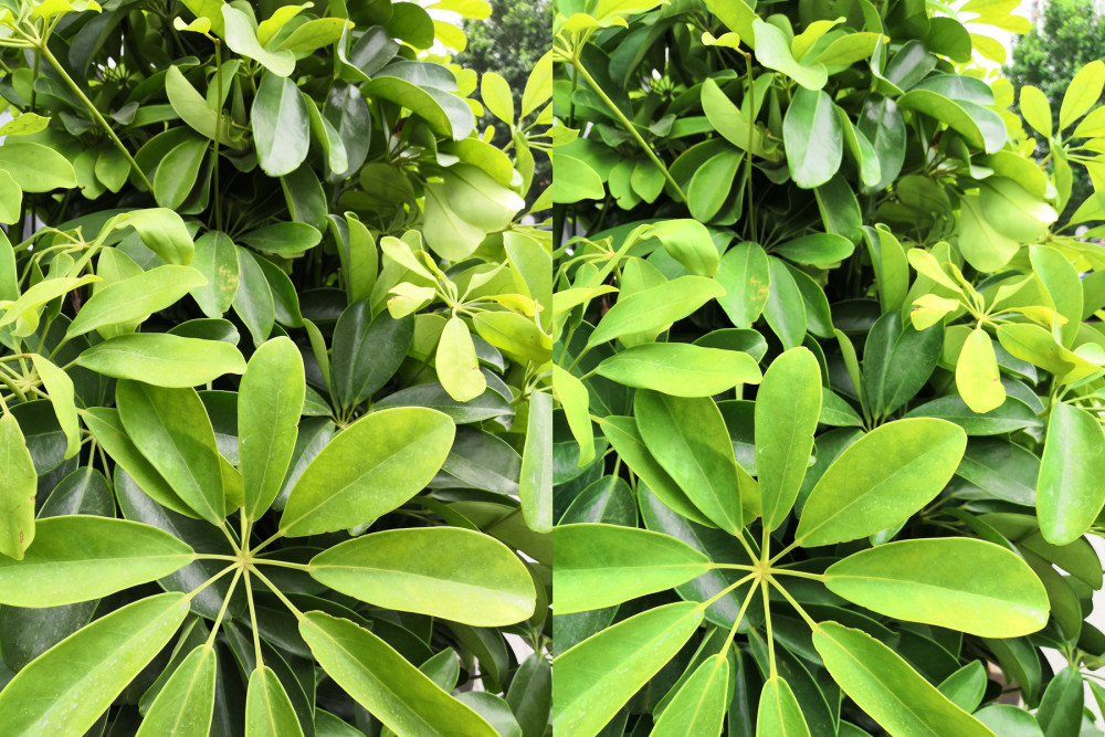 荣耀Play上手:荣耀年度性价比旗舰 很吓人的技