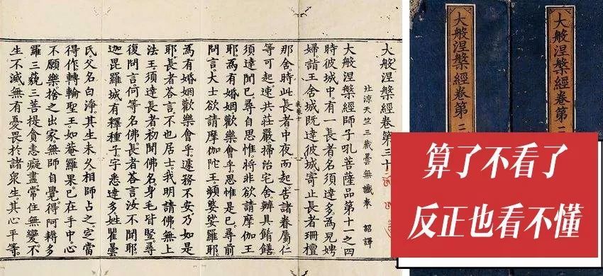 佛系过气了,但佛系词语你每天都说啊! | 