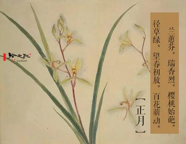 花月令 正月兰蕙芬二月桃始夭