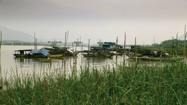 十二个传统,诠释疍家人对水的眷恋