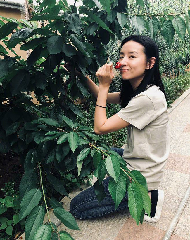 董洁自曝最新无修美照,气质淡雅生活优越