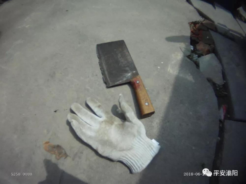 淮阳一女子称有人要害她手拿菜刀乱舞乱砍