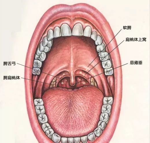 喉咙长水泡 最近好多孩子都得了这个病 腾讯网