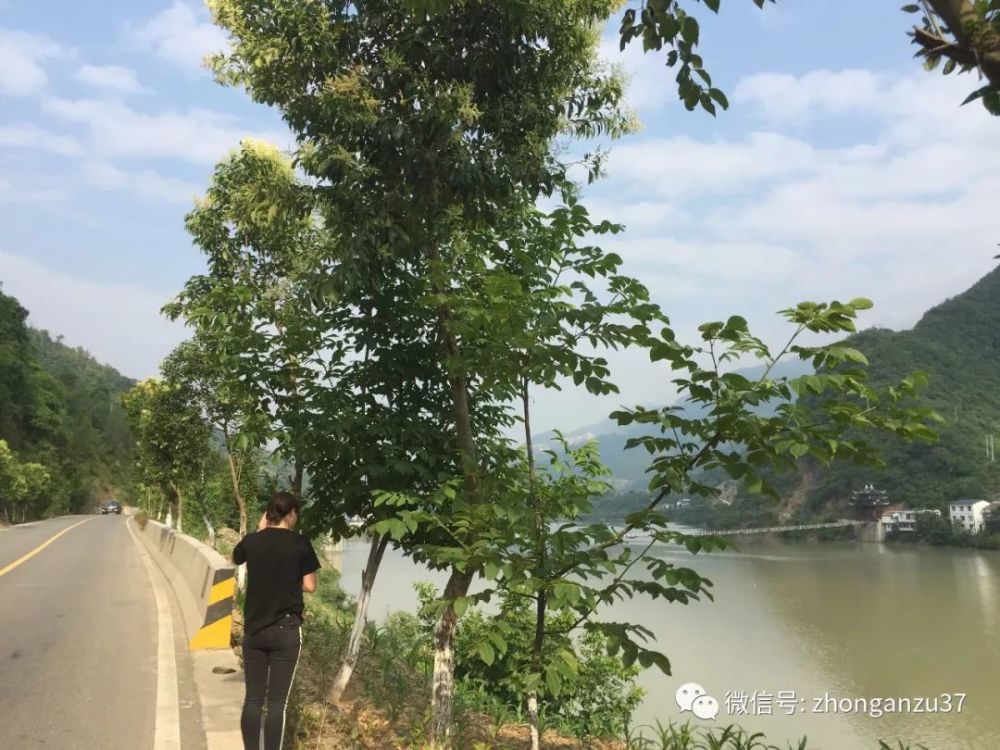 2400万保险金该不该赔?甘肃一老板驾车坠水库