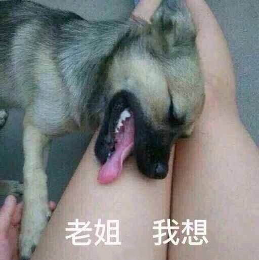 买个实体娃娃值得吗多少钱啊企鹅娘吐槽：你愿意买一个实体娃娃当女朋友吗？插图11
