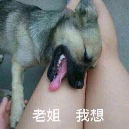 企鹅娘吐槽:你愿意买一个实体娃娃当女