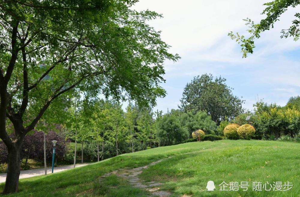 安順廣場四季不同,這片綠草地在春夏季節是最好看的,特別是夏天