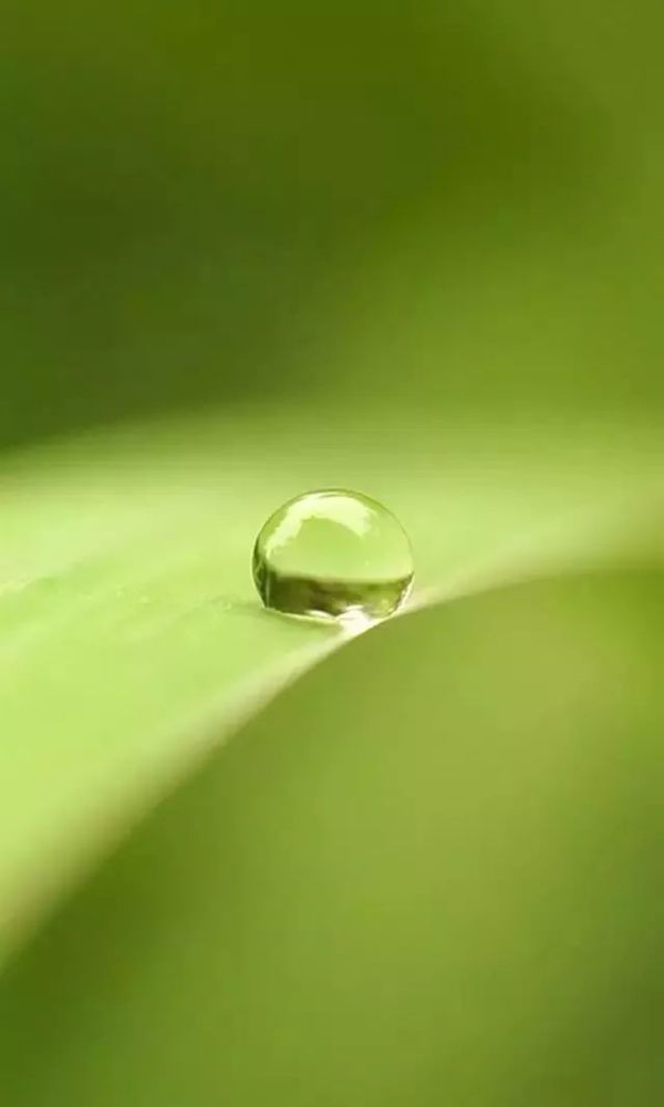 高清微信护眼图选1张当聊天背景图吧