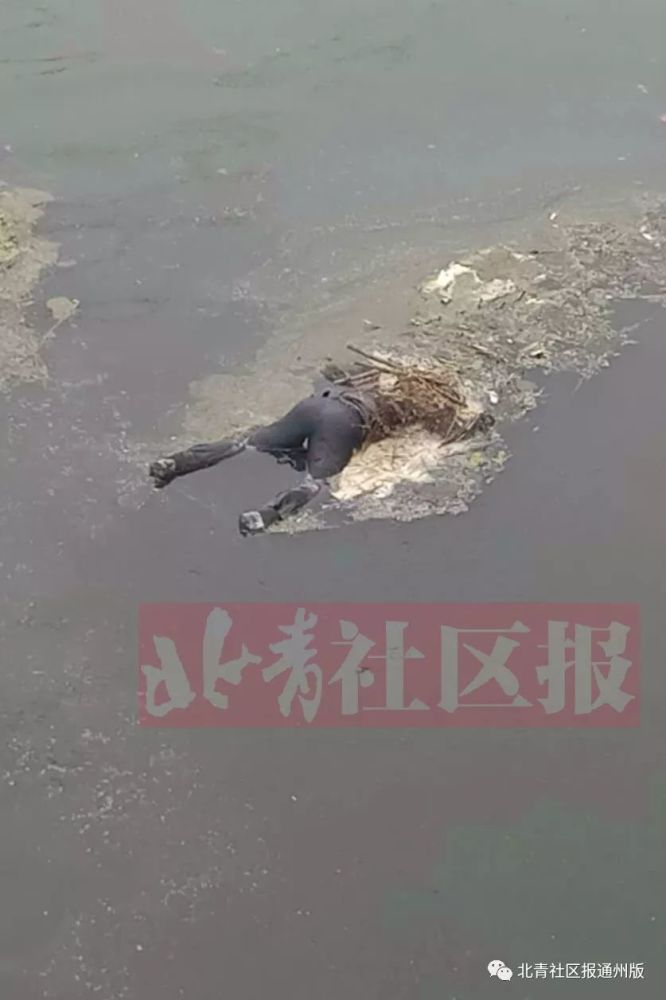 25岁小伙通州潮白河溺亡,亲属曾贴寻人启事称"有轻生倾向"