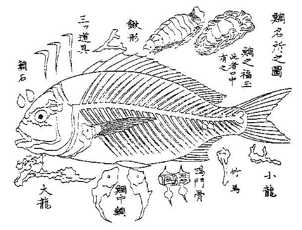 看魚骨就知道好不好吃,這位網友的推特讓好多人漲姿勢了!