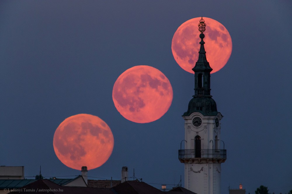 今晚"草莓月亮"出现天际,背后的秘密你知道吗?