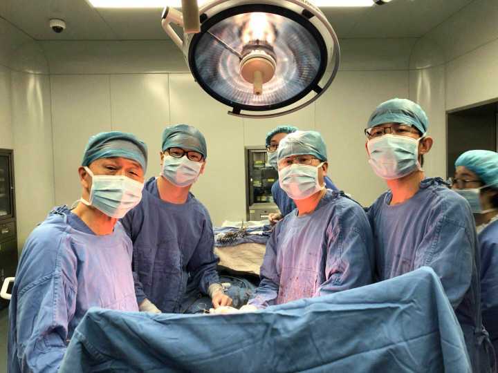 左一为彭淑牗教授,左三为洪德飞教授