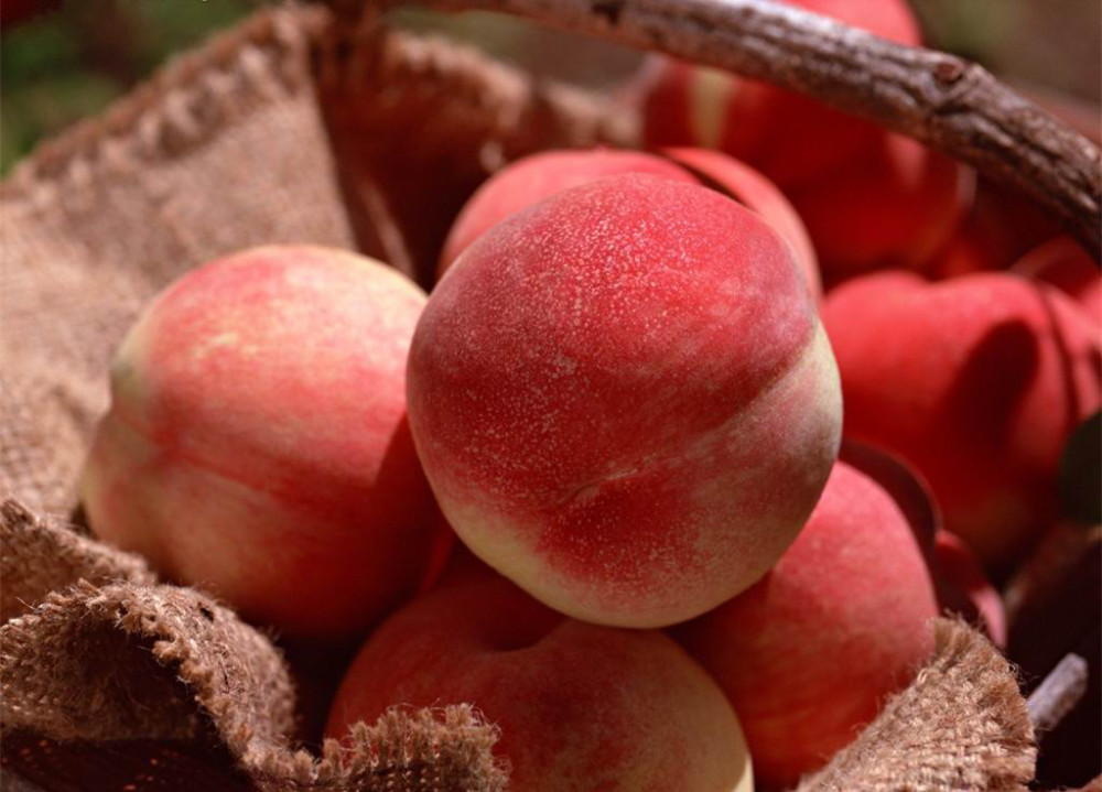 夏季是减肥的最佳时间,常吃8种水果想胖都难