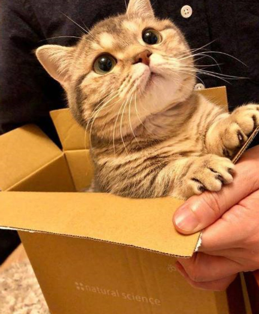 送老婆礼物排行榜_母亲节礼物一般送什么给妈妈最新排行榜介绍(2)