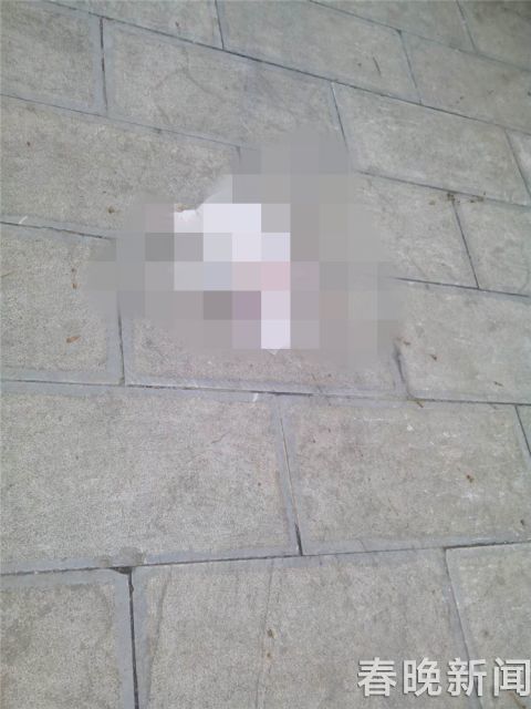 昆明一高楼上往下扔大便居民路过差一点被砸中竟持续一个月了