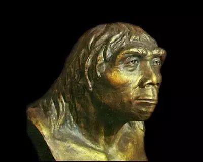 中国人的祖先究竟是谁?从基因看不是北京猿人