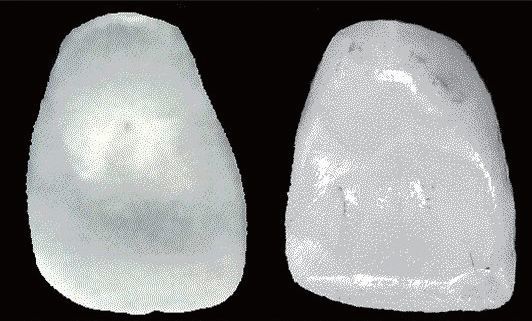 中国人的祖先究竟是谁?从基因看不是北京猿人