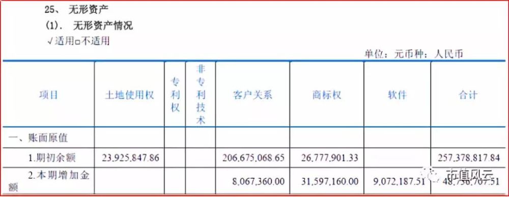 上市公司里的球员资产:无形资产漫谈