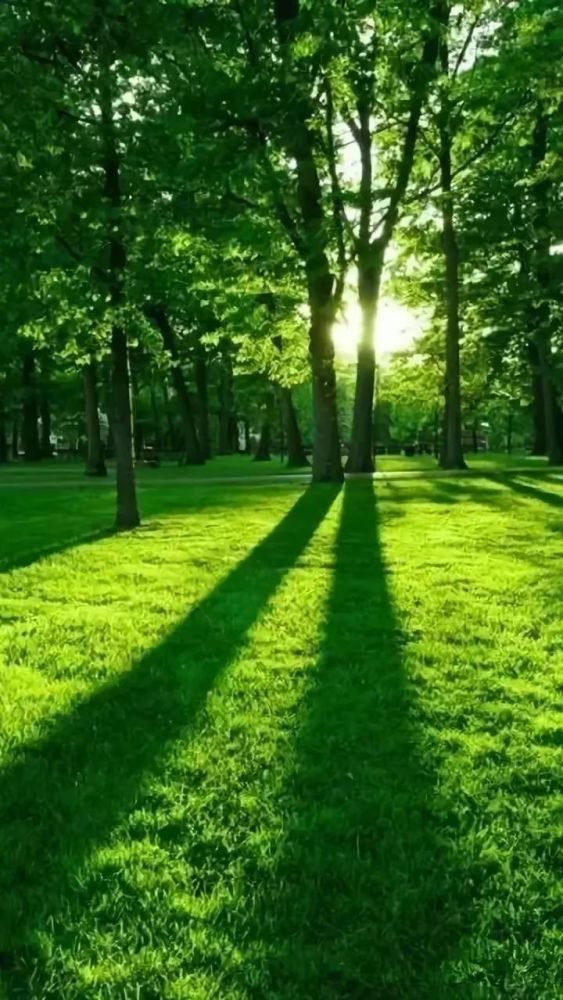 看到这满眼的绿色,心情也更愉快了,送给所有的朋友们!