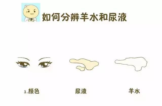 破水和漏尿傻傻分不清楚 5点让辨别真破水 腾讯网