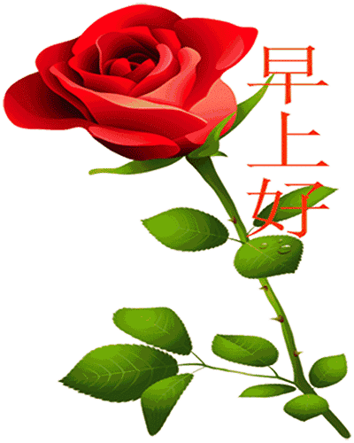 早晨问候语短信大全发朋友圈的早安祝福动态图