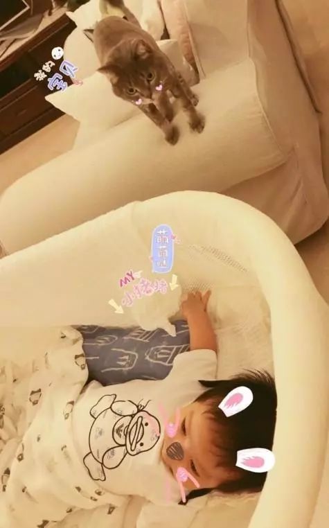江宏杰晒女儿萌照,孙怡晒女儿翻菜单照,一堆萌