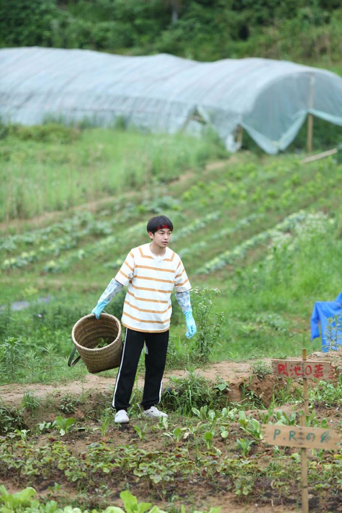 彭昱畅《向往的生活》收官 大银幕接力《快把