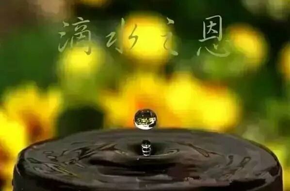 为何说滴水之恩要涌泉相报?报恩也有大学问