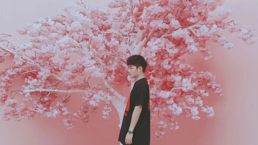 徐梦圆登上《明日之子》,让我看到了小众音乐形式主流化的希望