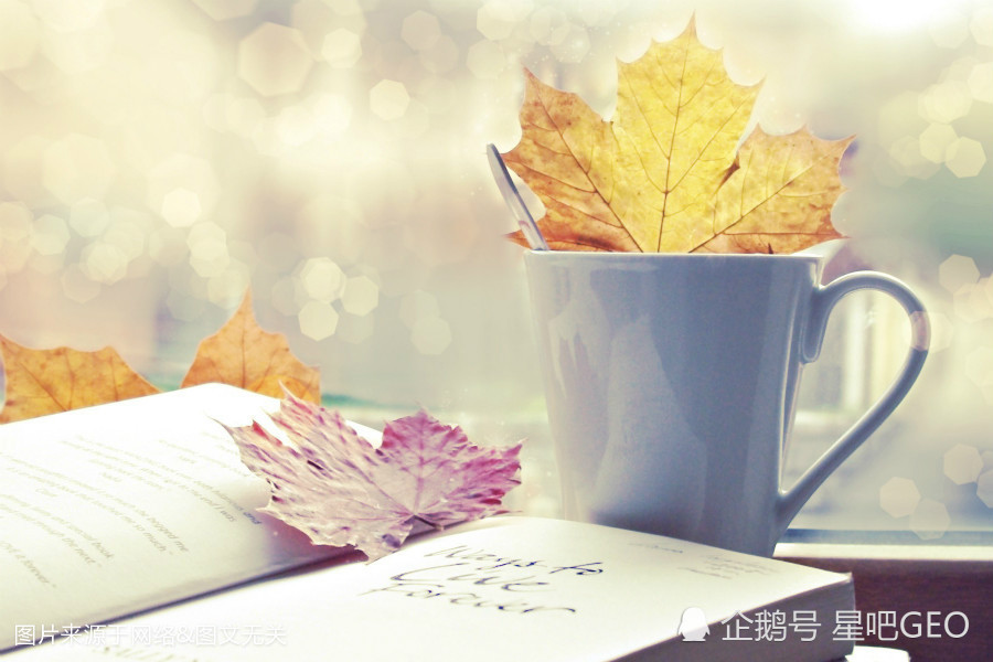 水星巨蟹座男女命大不同