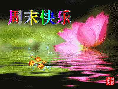 最新最全最新周六早安祝福问候语动态图片带字,周六愉快周末漂亮早上