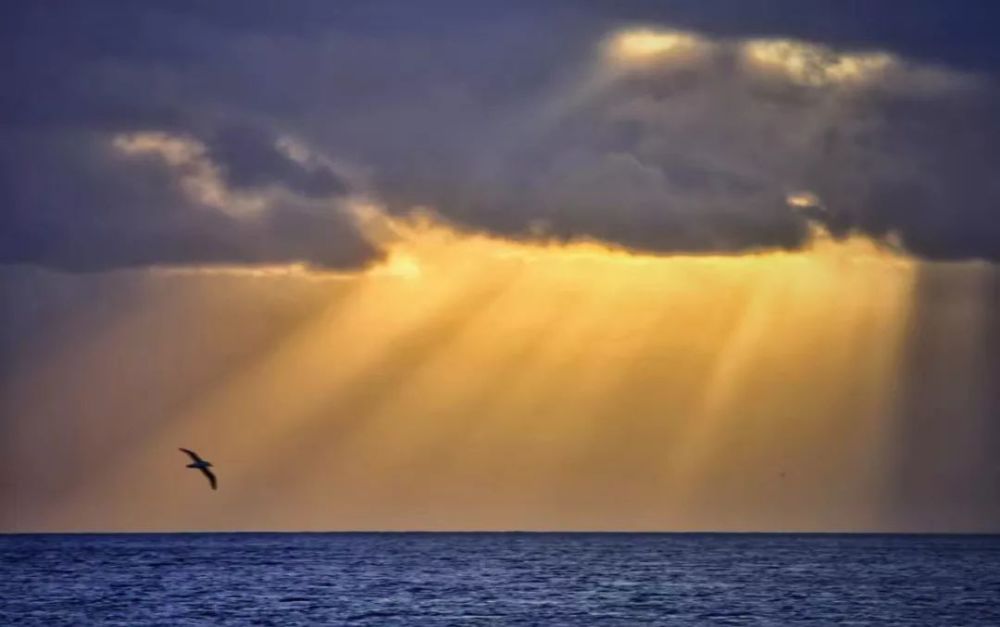 刘备:水低为海,人低为王