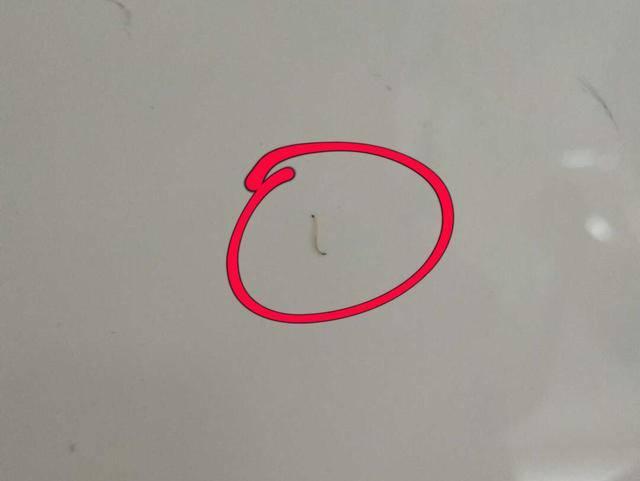 调兵山大明居民自来水中放出小白虫 吓得孩子不敢刷牙