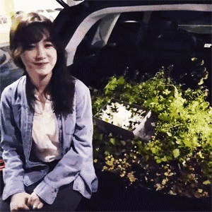 具惠善|具惠善安宰贤婚变1年正式离婚，男方发声：想尽快结束痛苦