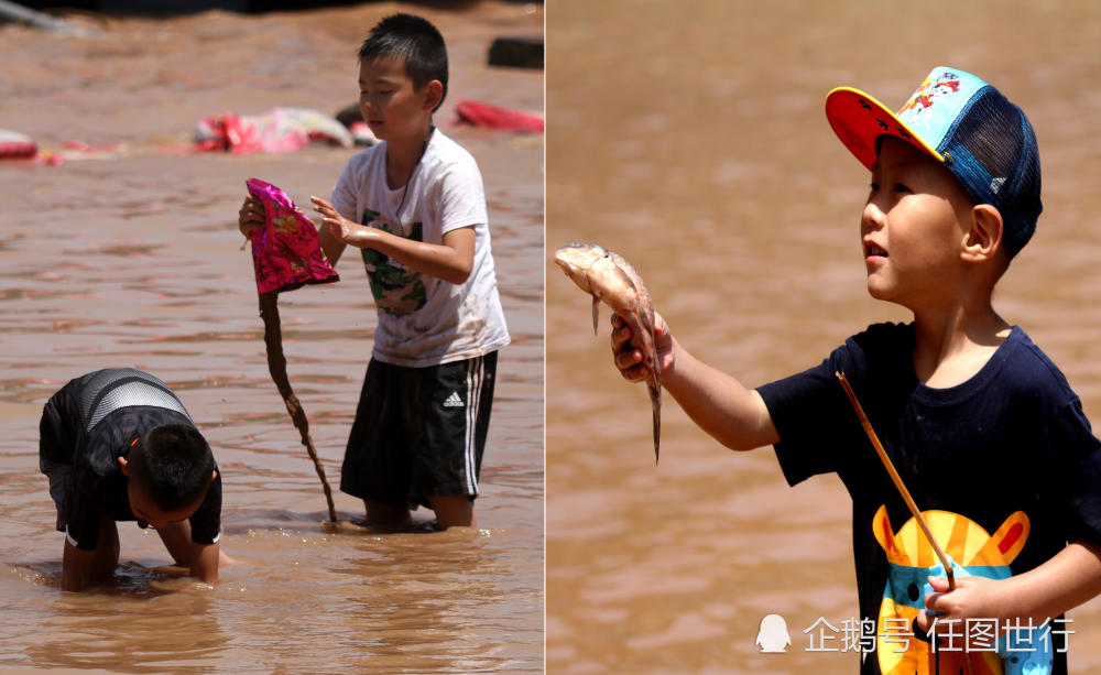 孩子"组团"进黄河摸抓流鱼 女孩半小时没抓到一条站水里大哭