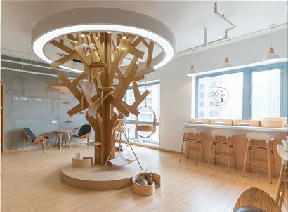 店里的布局细致,有方便学生党看书的吧台,也有能让工作党舒适小憩的靠