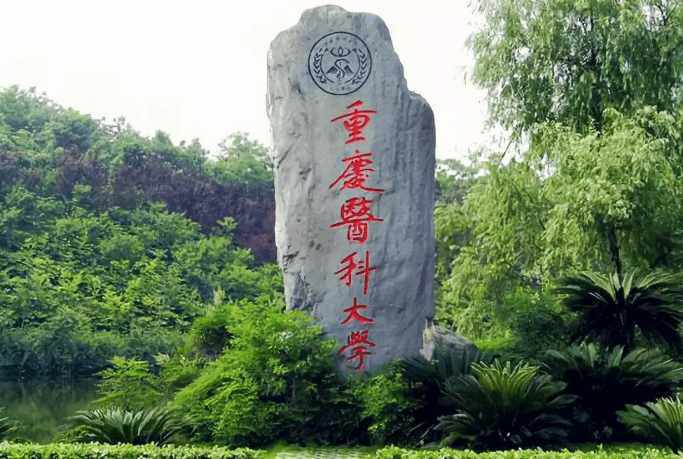 11所容易考的二本医科大学!录取分较低