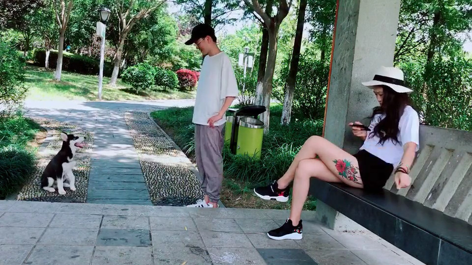 二哈看男主作弄女主 竟破天荒的没有上当 最后直接投靠女主 腾讯网