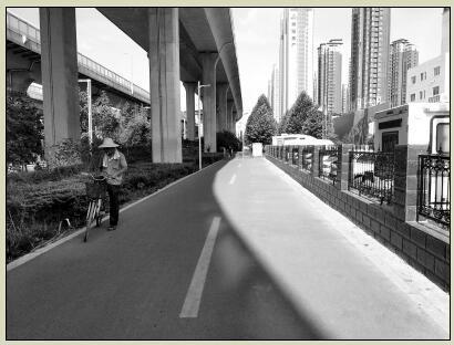 郑州市区北三环生态廊道成停车道 目前已得到